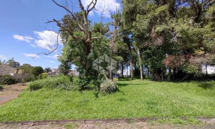 Terreno à venda na Lobo Da Costa, 247, Harmonía, Ivoti