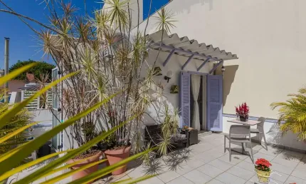 cobertura horizontal, patio, aceita pet, petrópolis, praça da encol