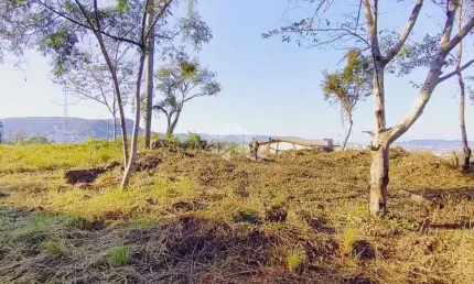 Terreno à venda na Br-471, 99, Renascença, Santa Cruz do Sul
