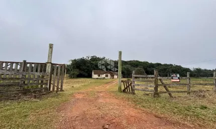 Chácara / sítio com 3 quartos à venda na Cerro Alegre Alto, 1, Área Rural de Santa Cruz do Sul, Santa Cruz do Sul