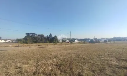Terreno plano pronto para construir em Linha Santa Cruz