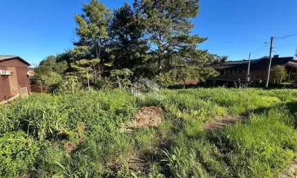 Terreno à venda na Dos Ingazeiros, 193, Linha Santa Cruz, Santa Cruz do Sul