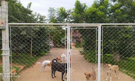 Chácara / sítio com 1 quarto à venda na Das Palmeiras, 261, Parque Eldorado, Eldorado do Sul