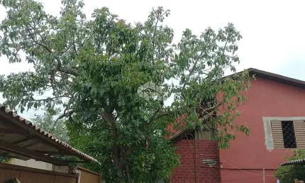 Casa 3 Dormitórios no Bairro Tristeza na zona Sul de Porto Alegre