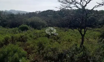 Terreno a venda no bairro lomba do pinheiro em porto alegre.