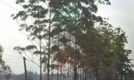 Terreno à venda na Rodovia RS-118, 6, Vila Elsa, Viamão