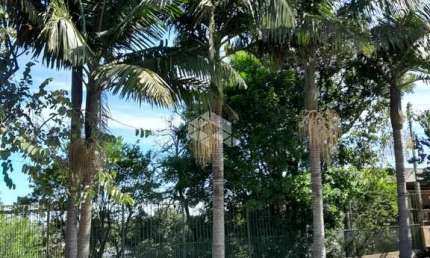 Chácara / sítio à venda na Rua Dez de Novembro, 707, Santa Isabel, Viamão