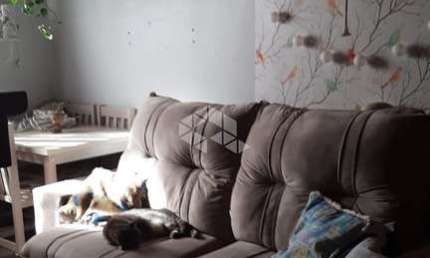 Apartamento 02 dormitórios  01 vaga com 51 no bairro Camaquã na  Zona Sul