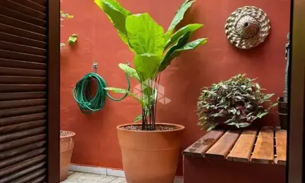 Sobrado com 2 Quartos e 2 banheiros à Venda, 105 m²