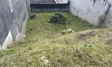 Terreno à venda na José Ribeiro Junqueira, Jardim Colonial, São Paulo