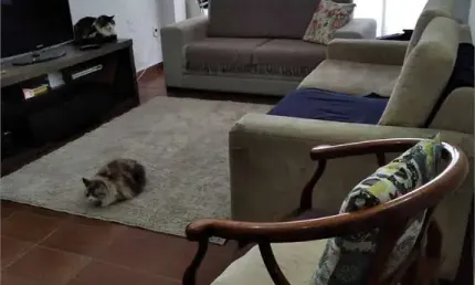 Casa com 5 quartos à venda na Rua Maria Adelina Franca Whitaker, 130, Interlagos, São Paulo
