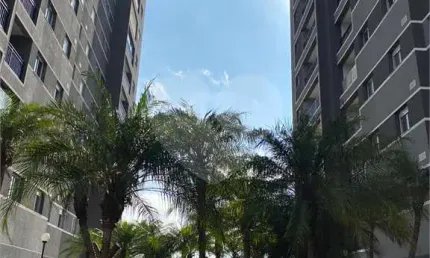 Apartamento com 1 quartos à venda em parque reboucas - sp