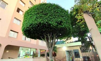 Apartamento com 2 quartos à venda na Rua Coronel Francisco Inácio, 159, Sacomã, São Paulo