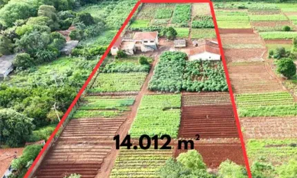 Terreno à venda na Rodovia Geovana Aparecida Deliberto, Jardim Itaú, Ribeirão Preto