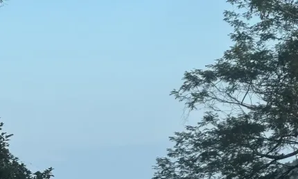 Chácara / sítio à venda na Avenida Marina, Sn, Agenor de Campos, Mongaguá