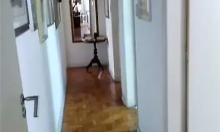Apartamento com 3 quartos à venda na Rua Caiubi, --, Perdizes, São Paulo