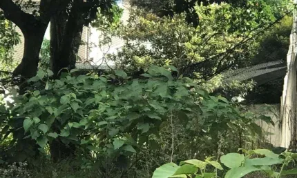 Oportunidade para você que está procurando um terreno nobre em um dos melhores endereços de sp.