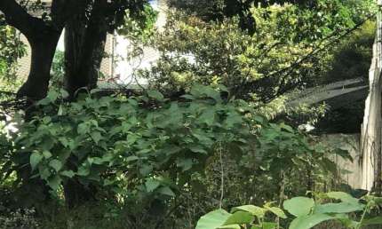Oportunidade para você que está procurando um terreno nobre em um dos melhores endereços de SP.