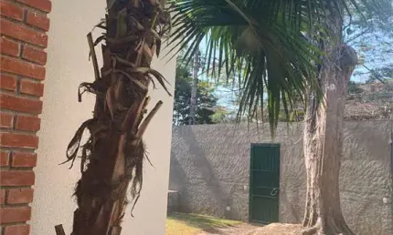 Casa com 3 quartos para alugar na Rua Dinamarca, --, Jardim Europa, São Paulo