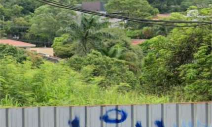 Terreno à venda na Rua Pascoal Vita, --, Vila Beatriz, São Paulo