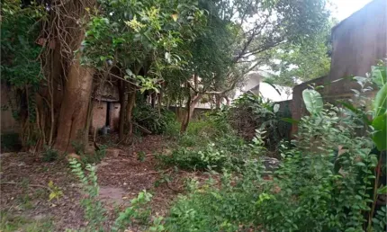 Casa com 3 quartos à venda na Avenida Professor Ciro de Barros Resende, --, Planalto Paulista, São Paulo