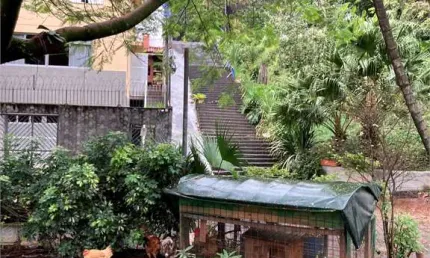 Casa com 2 quartos à venda na Rua Anadia, --, Aclimação, São Paulo