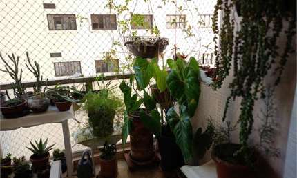 Apartamento com 3 quartos à venda na Rua São Vicente de Paulo, --, Higienópolis, São Paulo