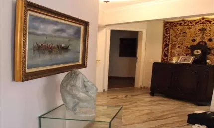 Apartamento com 3 quartos à venda na Rua Professora Carolina Ribeiro, --, Chácara Klabin, São Paulo