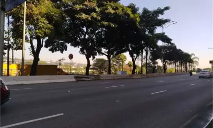Comercial-São Paulo-JARDIM EUROPA | Ref.: REO844261
