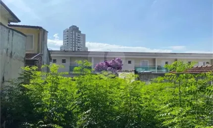 Terreno à venda na Rua Isaura Freire, --, Saúde, São Paulo