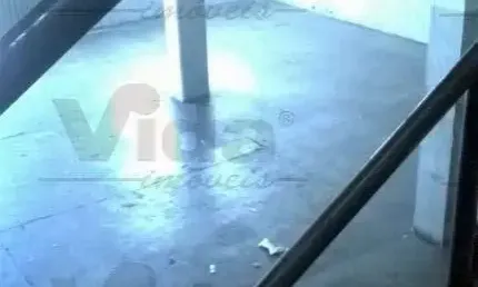 Prédio Inteiro para locação em Vila Jaraguá  -  São Paulo