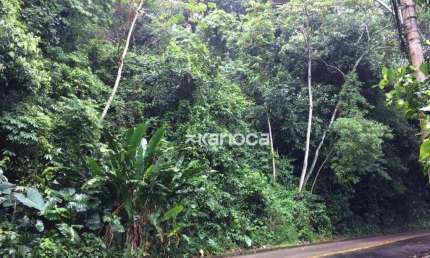 Terreno à venda, 1300 m² por R$ 2.000.000,00 - São Conrado - Rio de Janeiro/RJ
