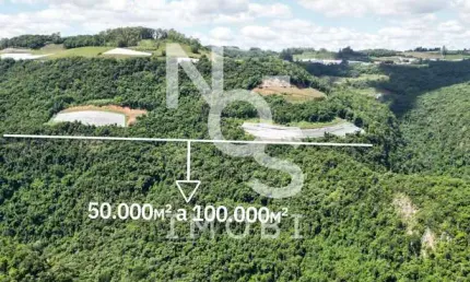 Área de Terras de 5 a 10 Hectares em Otávio Rocha em Flores da Cunha