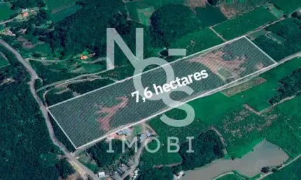 Terras para plantio no travessão 7 de setembro em flores da cunha