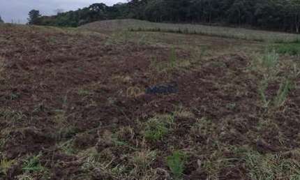 Terreno à venda no Bateias, Campo Largo 