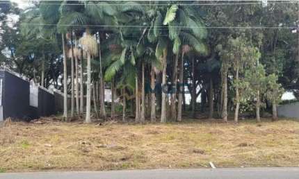 Terreno à venda no bairro Cidade Industrial - Curitiba/PR