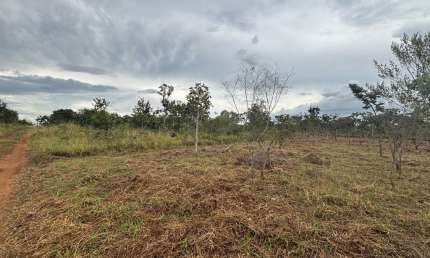 Terreno em condomínio fechado à venda na Privê Lago Norte, 1, Lago Norte, Brasília