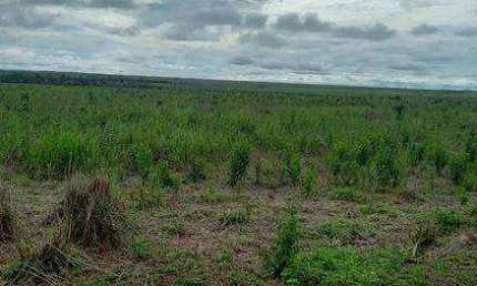 FAZENDA (8.880 hectares). ALTO POTENCIAL PARA AGROPECUÁRIA E LAVOURA