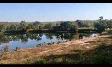 LINDA FAZENDA (324 hectares), OPORTUNIDADE PARA O SEU AGRONEGÓCIO