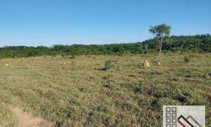 FAZENDA (309 Alqueires). OPORTUNIDADE DE NEGÓCIO COM RENDA GARANTIDA, COM 750 CABEÇAS DE GADO