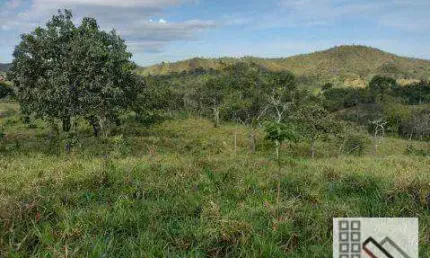 FAZENDA (59 Alqueires). RFEGIÃO COM GRANDE POTENCIAL PARA AGROPECUÁRIA