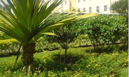 Apartamento para Venda em Indaiatuba, Jardim Juliana, 3 dormitórios, 1 banheiro, 1 vaga