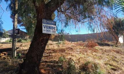 Terreno à venda na Rua Sylton Abreu Camargo, Industrial, Guarapuava