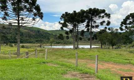 Fazenda para Venda em Guarapuava, Colônia Vitória - Distrito de Entre Rios
