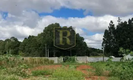 Terreno à venda na Avenida das Profissões, Morro Alto, Guarapuava