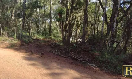 Chácara / sítio à venda na Vila Jordão, Guarapuava 