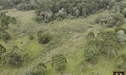 Chácara / sítio à venda no Guairacá, Guarapuava 