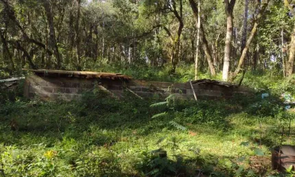 Chácara / sítio à venda na Vila Jordão, Guarapuava 