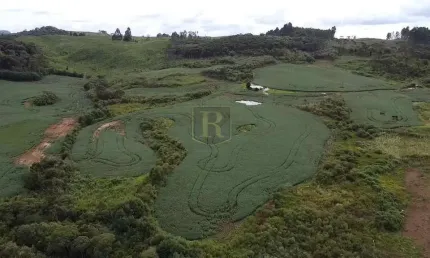 Chácara / sítio à venda no Zona Rural, Inácio Martins 