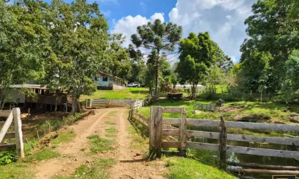 Chácara / sítio à venda na Área Rural de Guarapuava, Guarapuava 